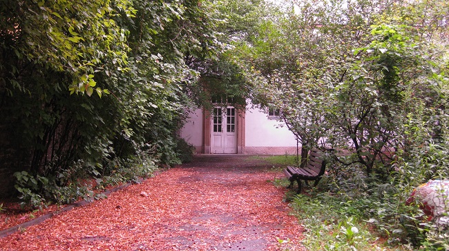 A courtyard strewn with orange leaves